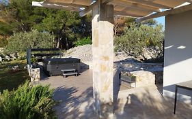 Peaceful Home Olea Oblica